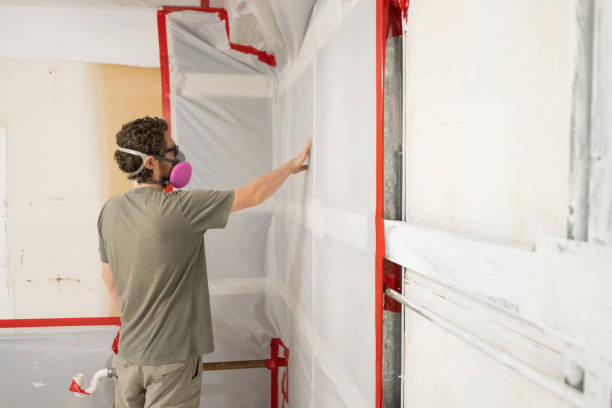 Best Basement Mold Removal  in Proctor, VT